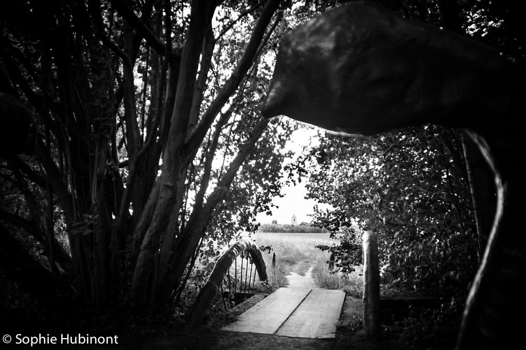 Sentier de l'étrange
